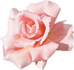 0_b6c6a_c821697f_S (146x139, 40Kb)